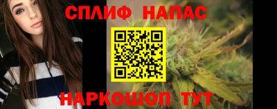 спайс Ачхой-Мартан