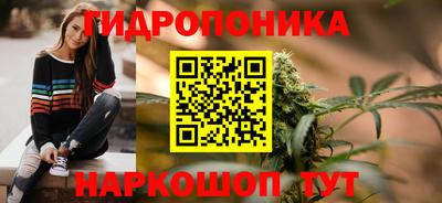 спайс Ачхой-Мартан