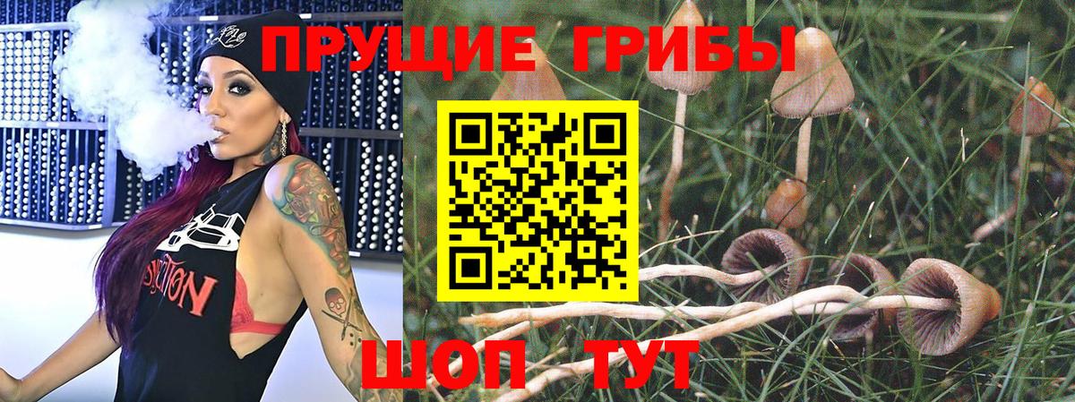 Бузулук  Псилоцибиновые грибы GOLDEN TEACHER  Вход с VPN  Галлюциногенные грибы мухоморы 