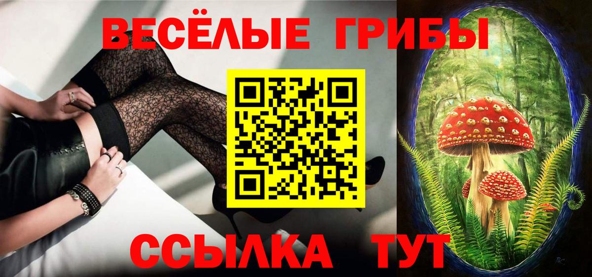 Галлюциногенные грибы прущие грибы Бузулук