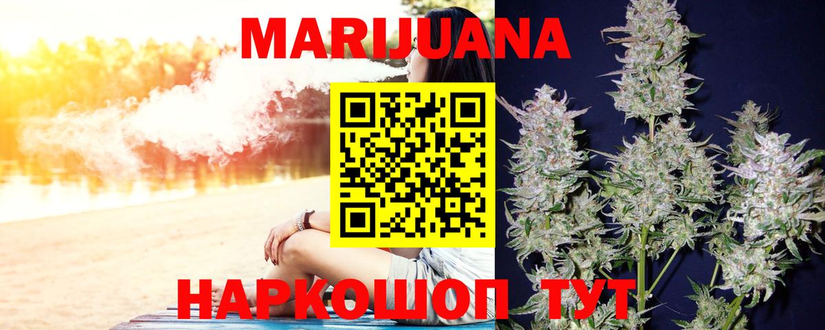 Конопля сатива Бузулук